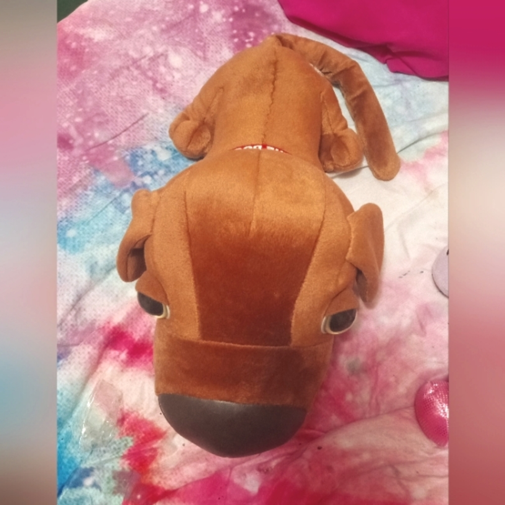 Dog 🐶
